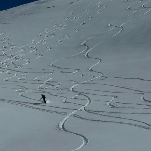 👌On ne pouvait pas mieux espérer qu’un retour d’Est pour sublimer ce stage splitboard dans…